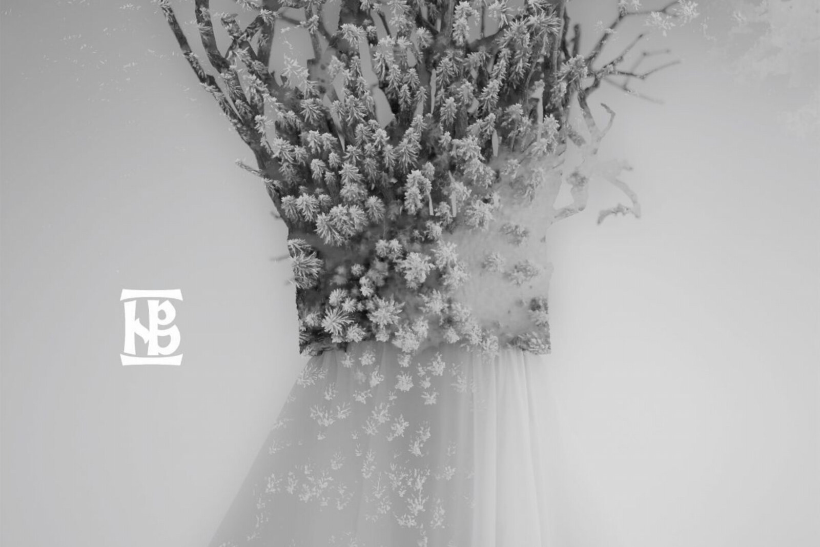 Negura Bunget release details of final album and video single