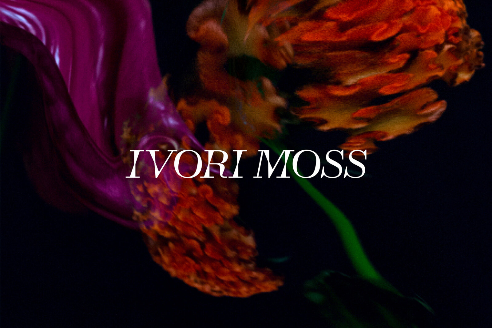 Ivori Moss stelt nieuwe single 'Diving' voor 