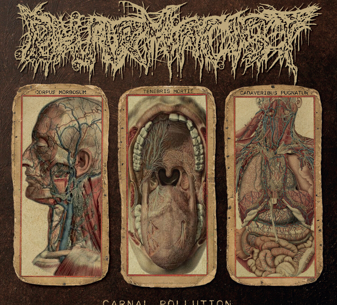 Pharmacist: Japanese Death/Grind Duo Premieres "Carnal Pollution" EP via Metal Injection