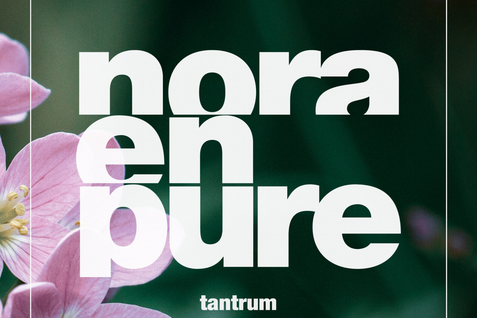 Nora En Pure Releases Entrancing New Single 'Tantrum