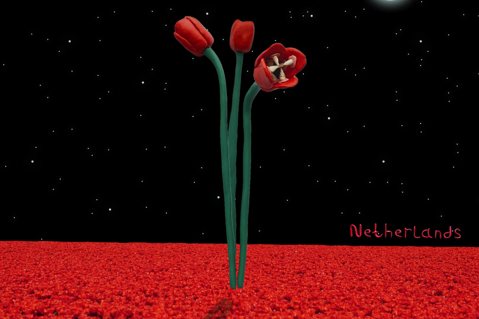 Nieuwe single 'Netherlands' van Wit-Russische underground formatie Weed & Dolphins