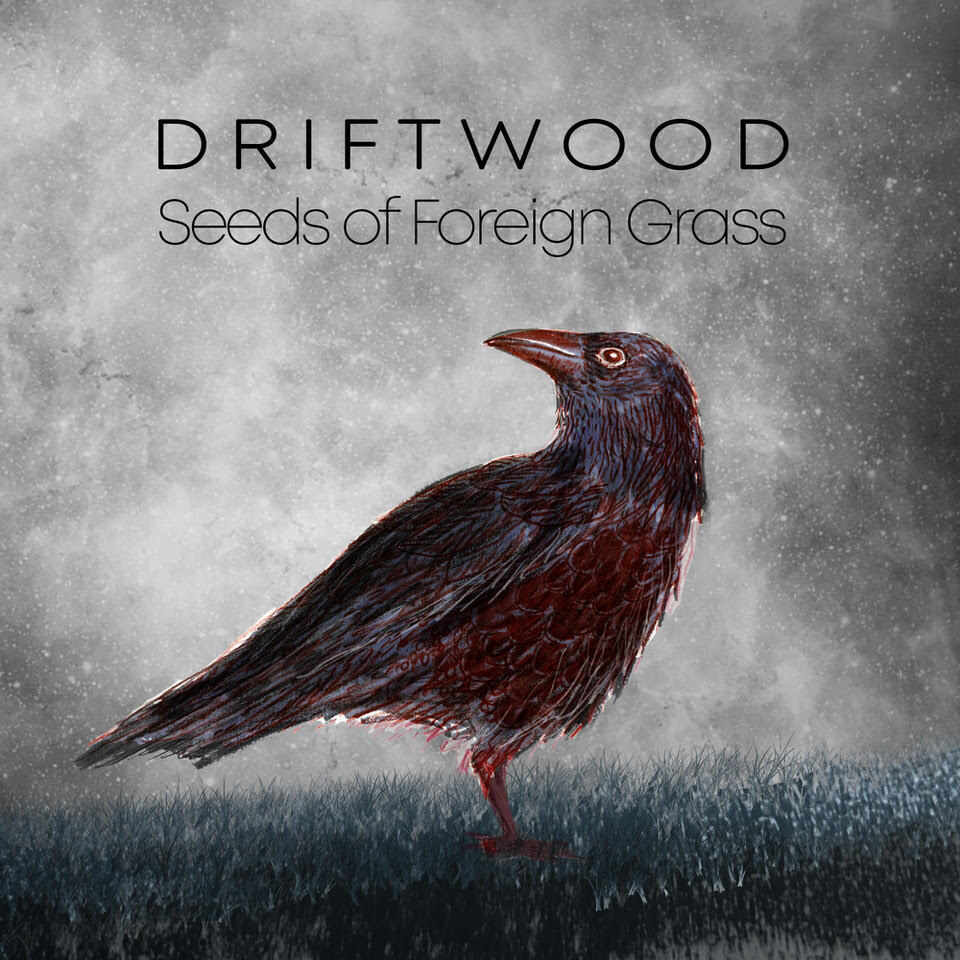 Driftwood stelt nieuwe single Seeds Of Foreign Grass voor