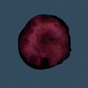 No God Only Teeth's New Crust and Sludge Infused Debut Album "Placenta" out this Week!