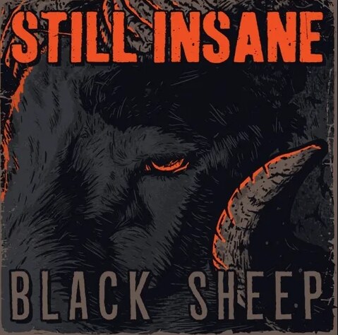 Quebec City’s Still Insane Releasing 'Black Sheep' EP on February 4th; Pre-Order