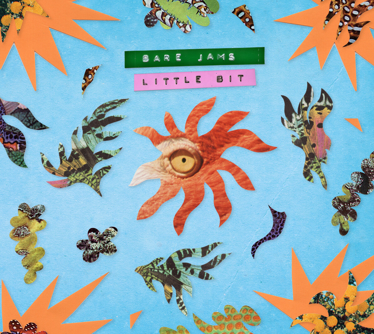 Bare Jams stelt nieuwe single Little Bit voor