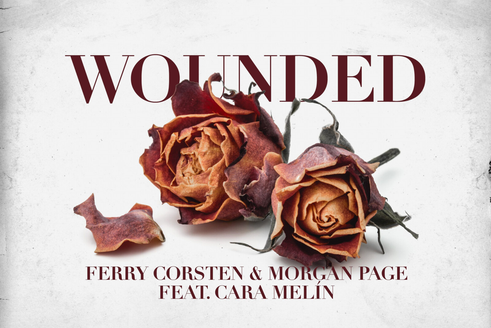 Dance Music Icons Ferry Corsten and Morgan Page Link Up On 'Wounded' (Feat. Cara Melin)