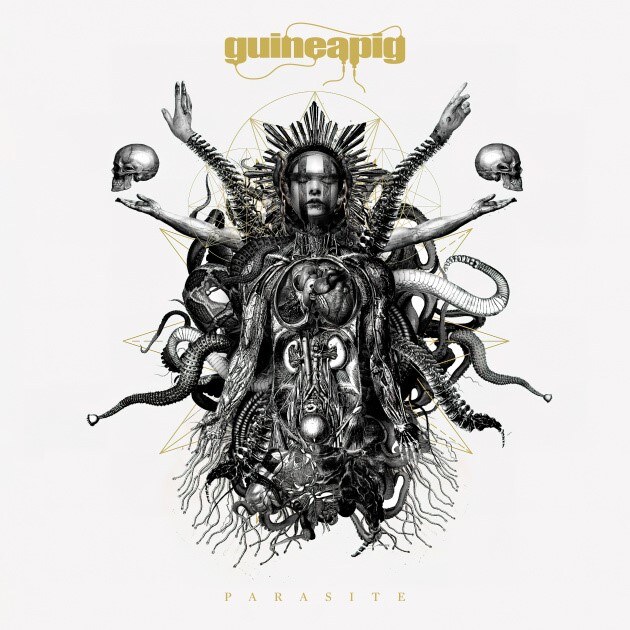 Guineapig : New video and pre-order!