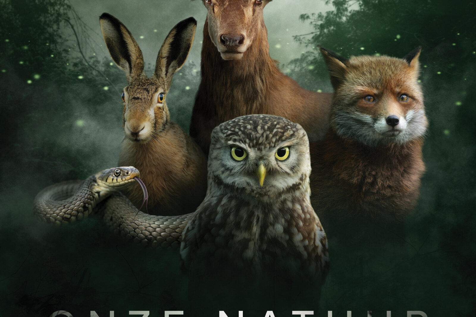 De wilde Belgische natuur sensationeel in beeld gebracht in Onze Natuur, De Film