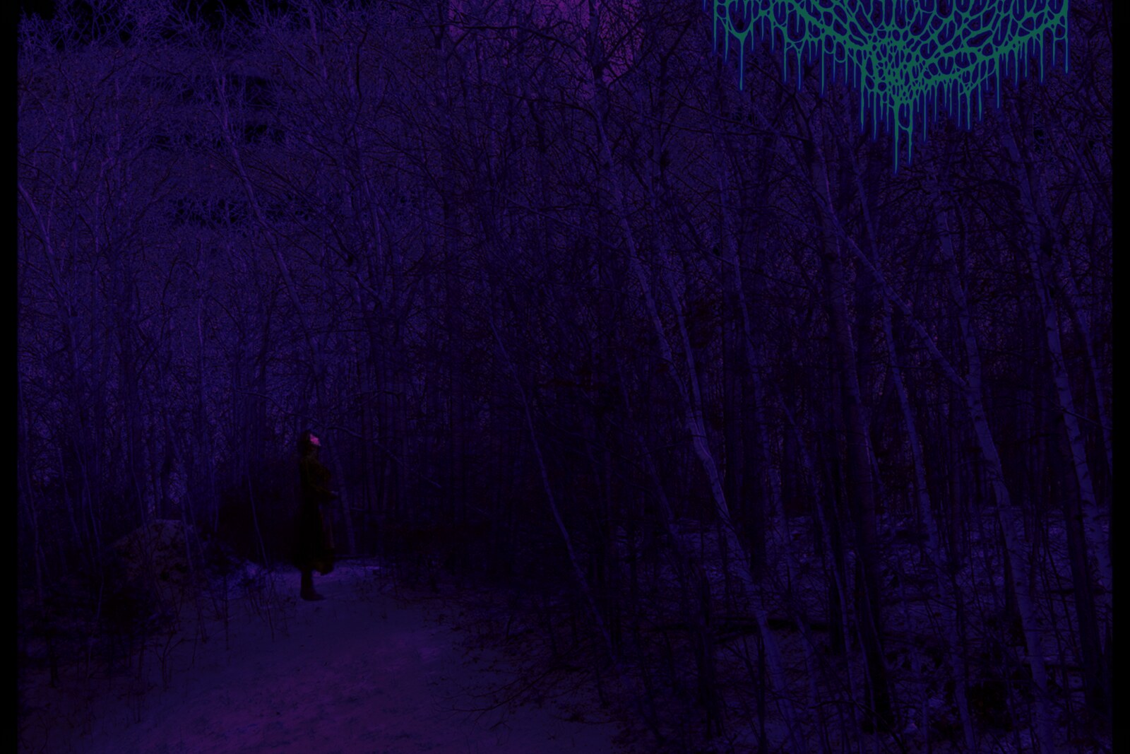 Bloodgate Streams New Album In Full Ahead of Release