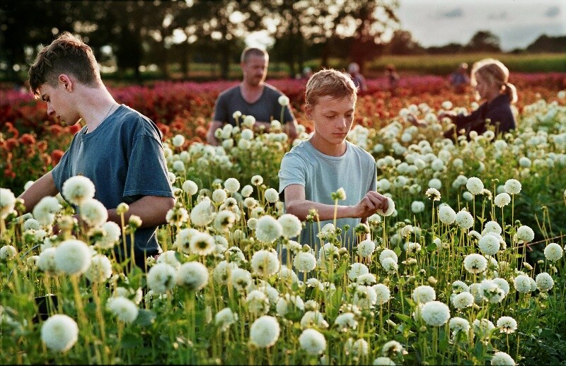 Close van Lukas Dhont naar Cannes