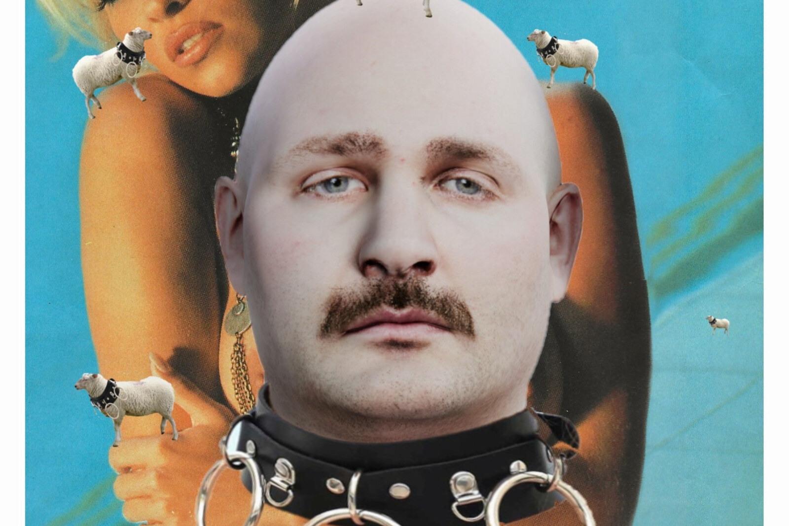Willy Organ lost nieuwe track Anderson Pamela uit aankomend album
