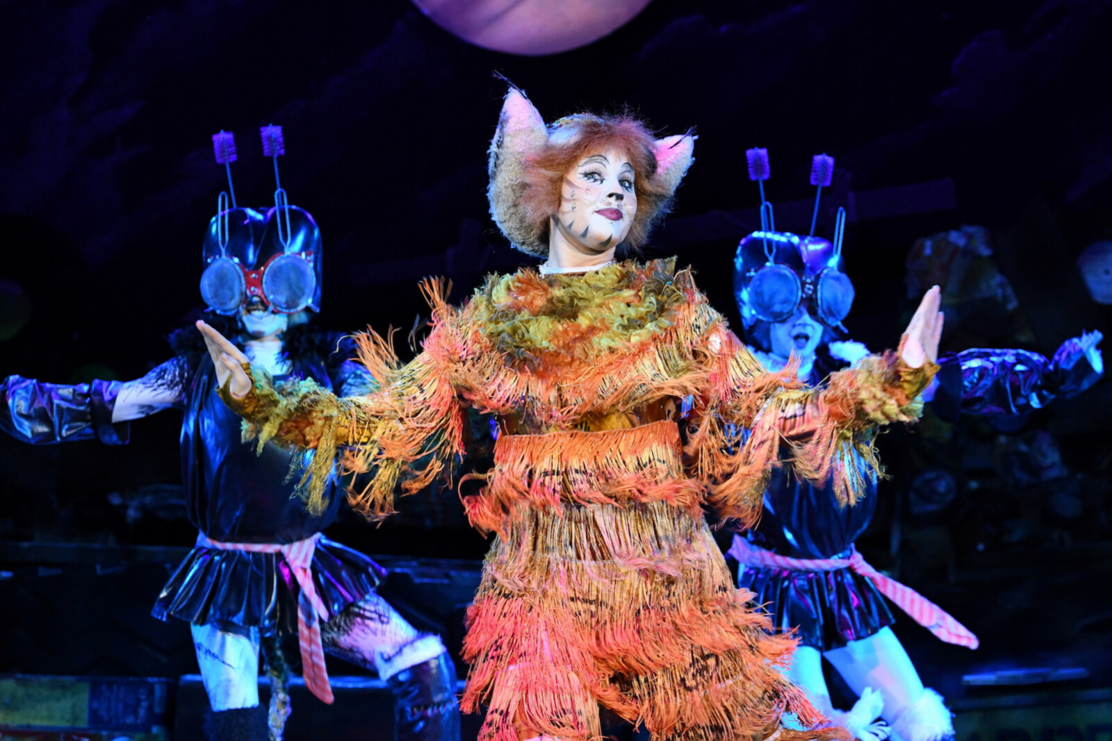 CATS The Musical komt in december terug naar Rotterdam AHOY
