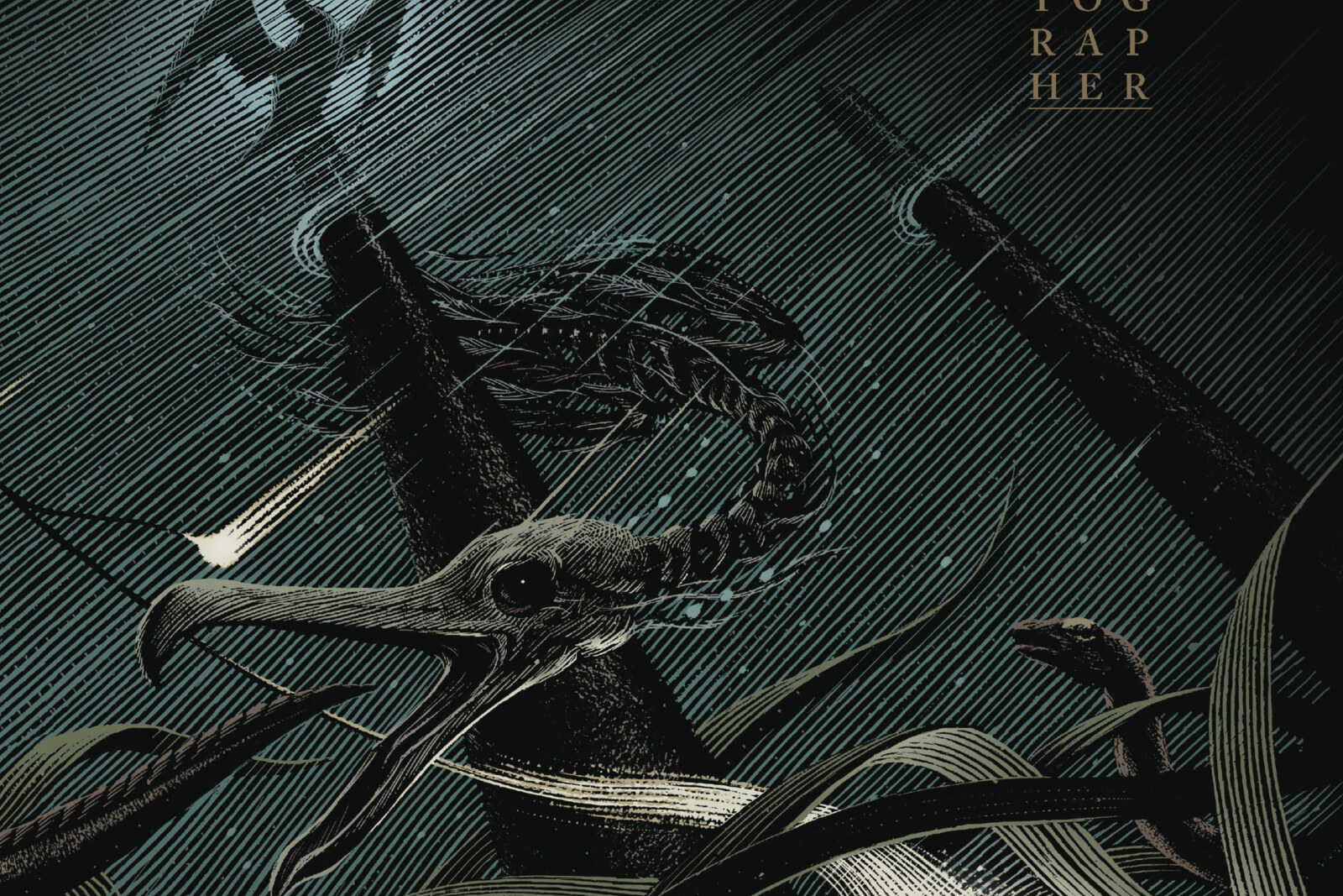 Jo Quail to release “the Cartographer"