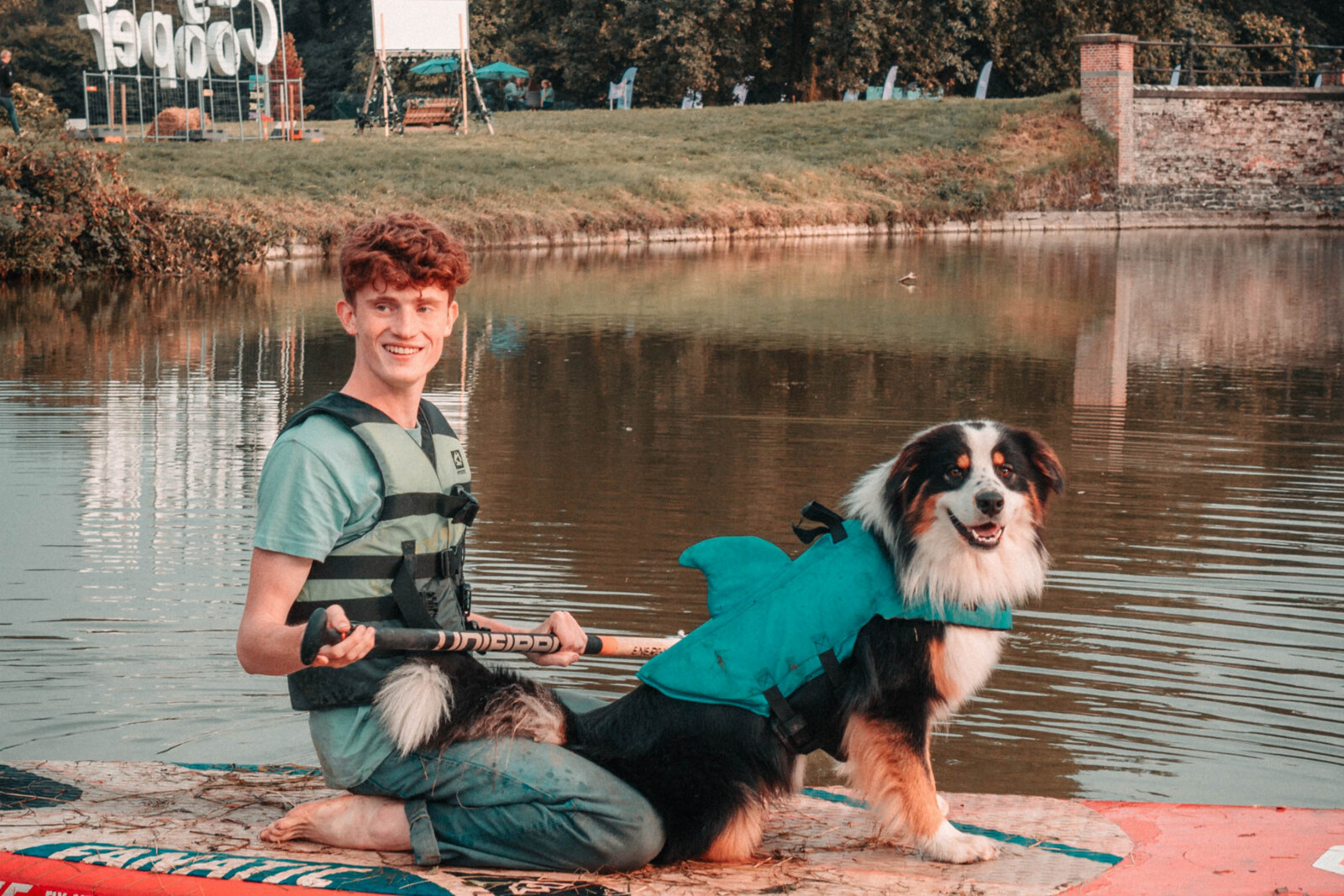 Ruim 1 op 3 baasjes wil hond meenemen naar een festival 
