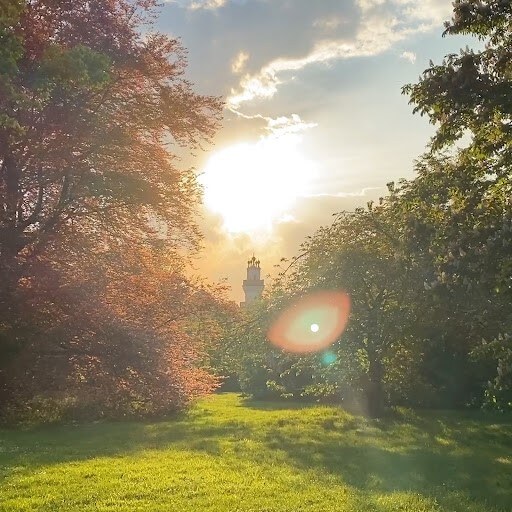 Pearl Diver- Mark Summer Solstice with: "Look For the Light" - Listen