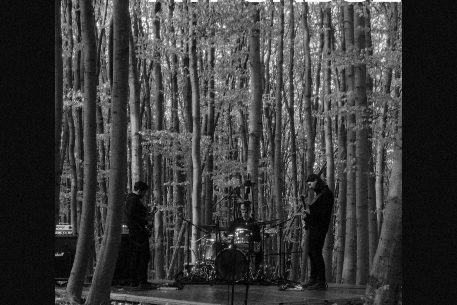 Torzs - 'Átfordul' |  Enchanting Post-Rock From The Depth Of The Forest 