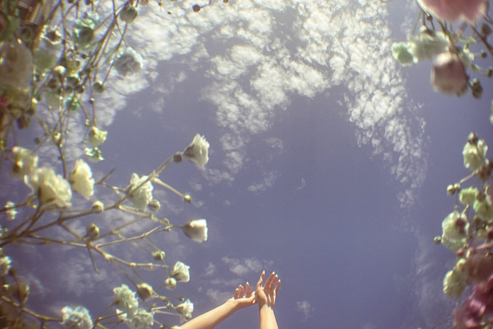 Goldie Vargas Shares New Single "Canyon"