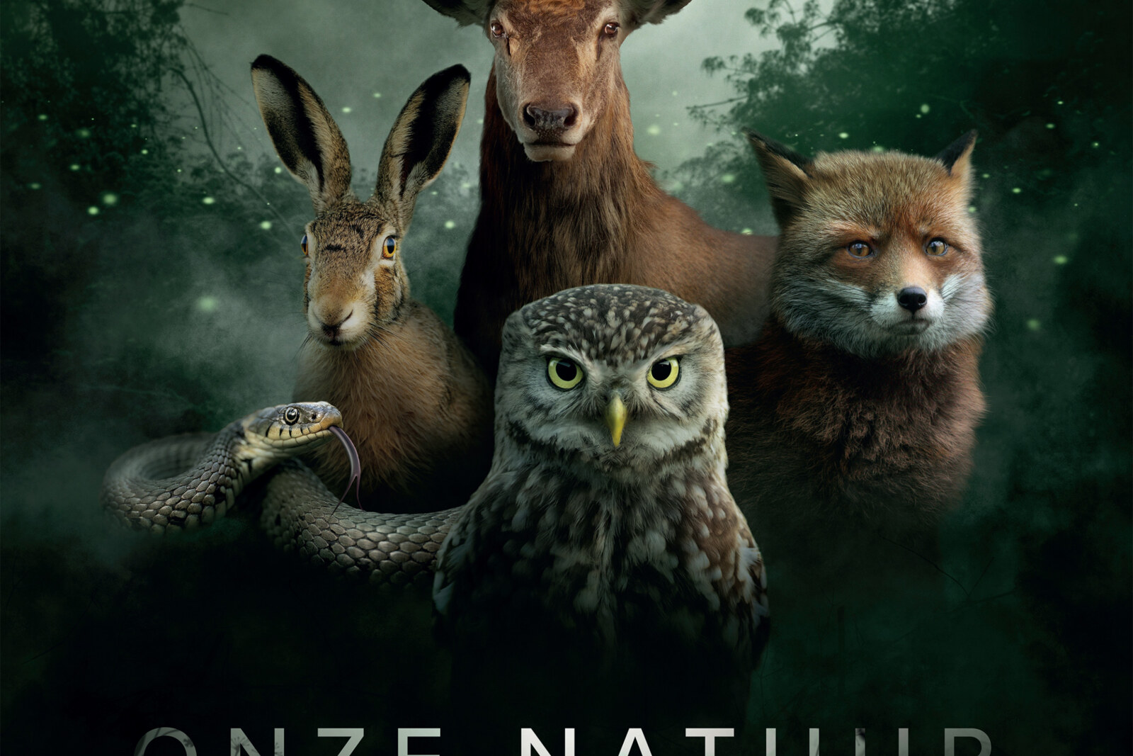 Matteo Simoni gaat David Attenborough achterna als stem van Onze Natuur, De Film