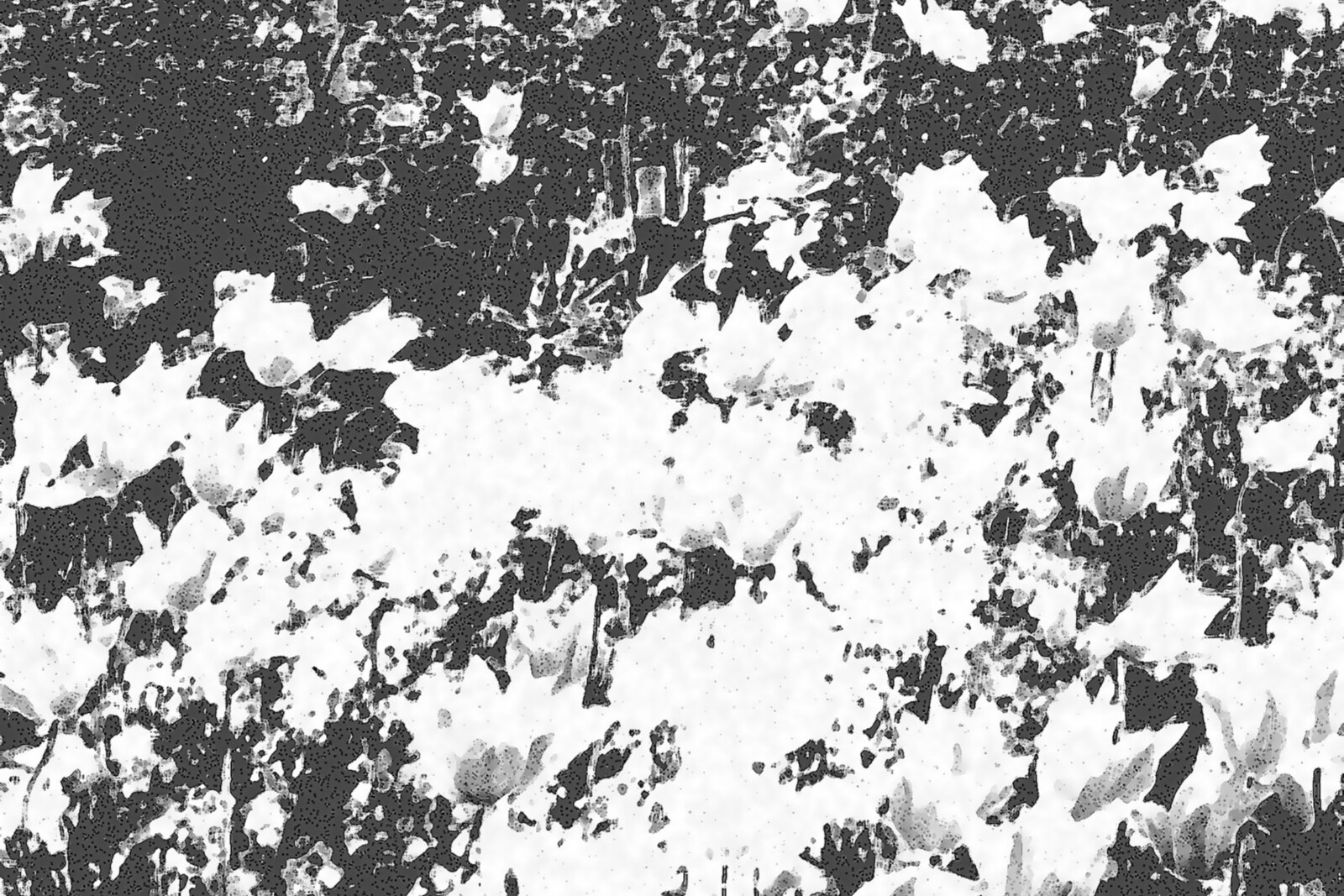 Nature Trip tackle societal frustrations with new single and music video 'Do You Mean What You Do'