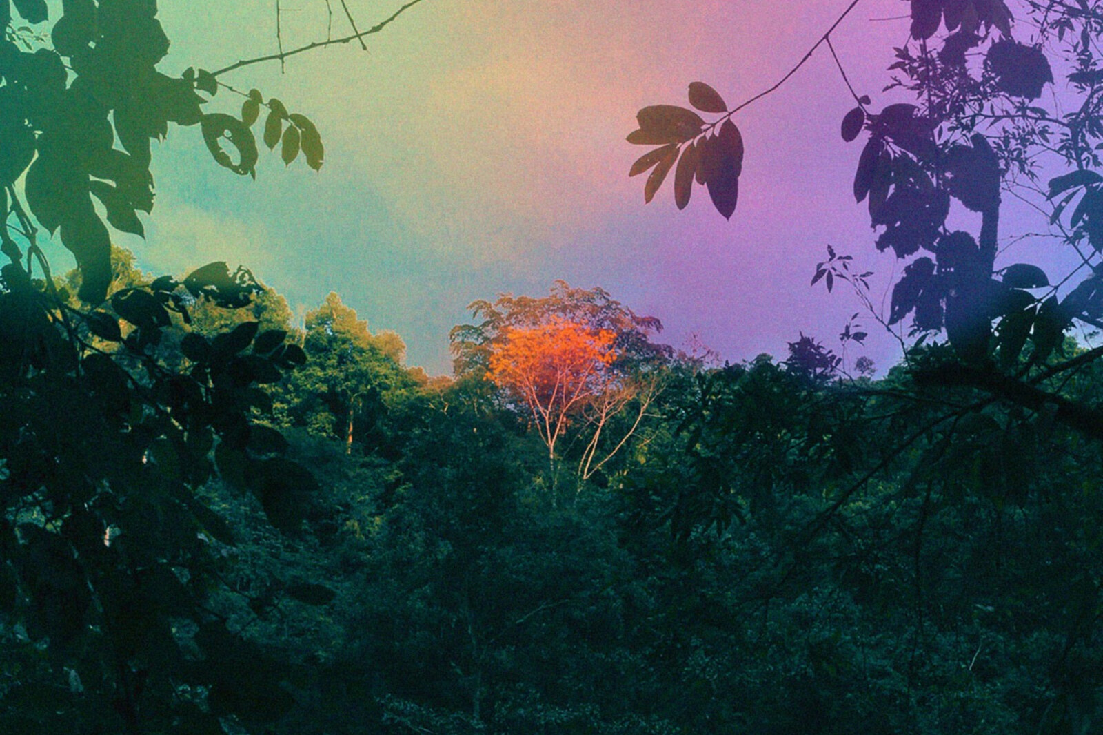 Banoffee Pie', the second single of the upcoming Kosmo Sound album 'Fruit Of The Void' (Zephyrus Records) / live dates (UK), (DE), (BE) announced