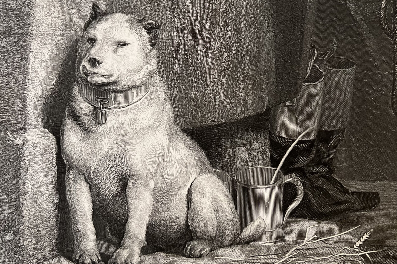 Pavlov's Dog komt naar De Roma