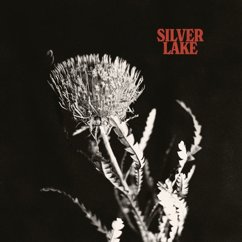 Art-pop duo Silver Lake to release self-titled debut album