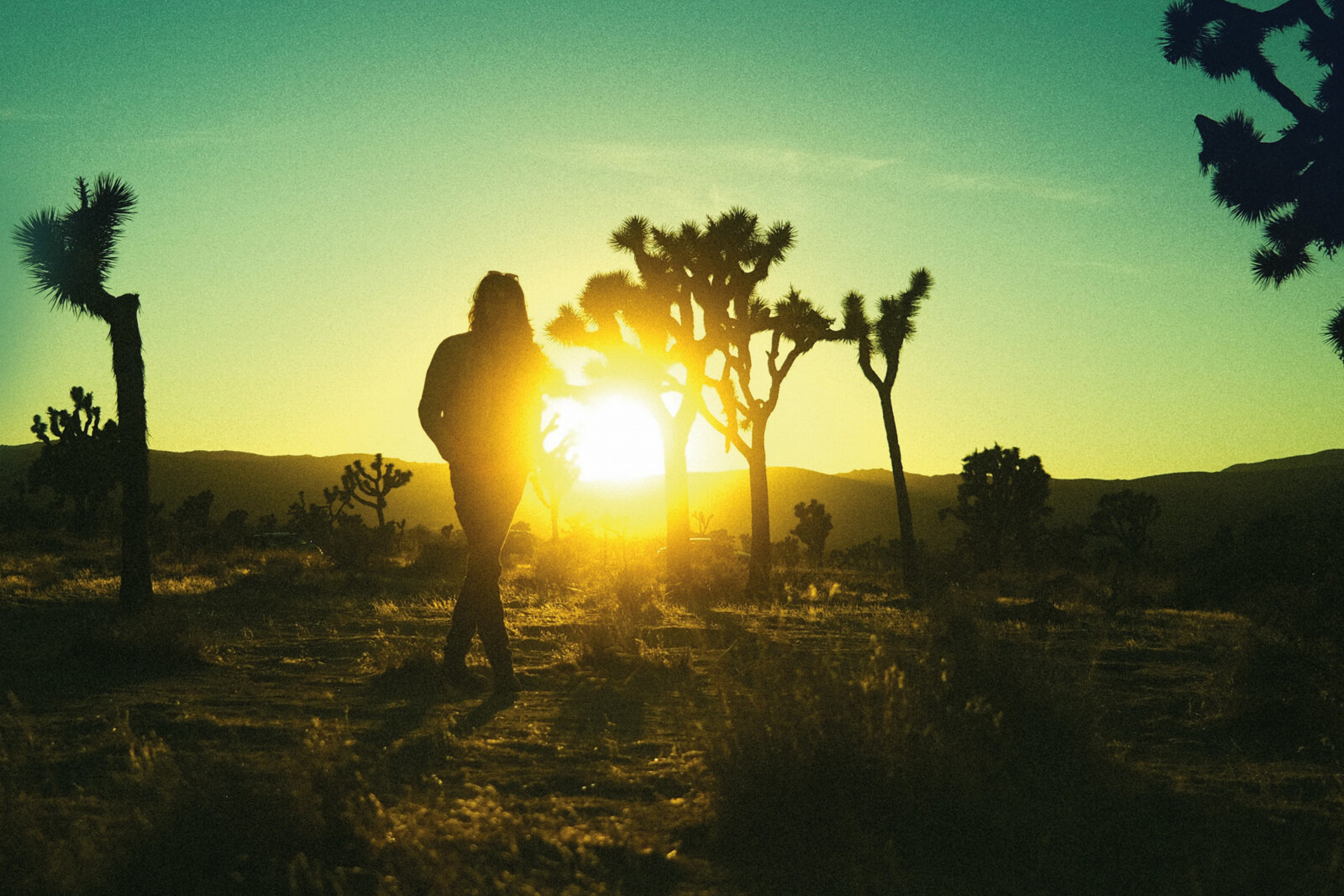 Jimmy Diamond announce debut album