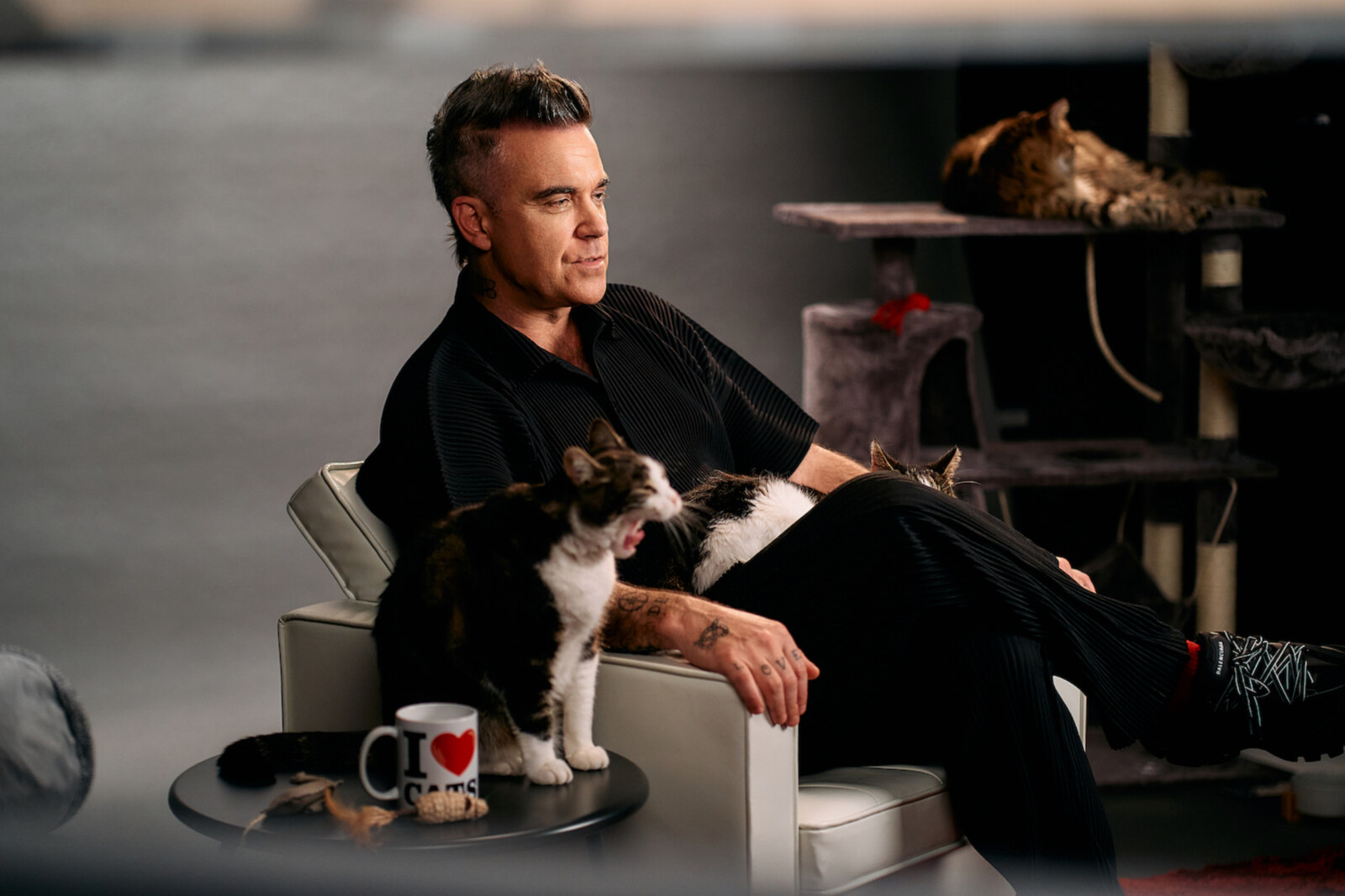Robbie Williams vormt duo met de legendarische kat Felix