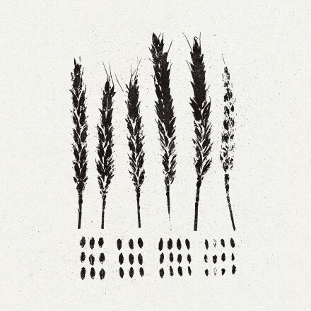 LO! Share New Video for "Salting The Earth" from their new album "The Gleaners"