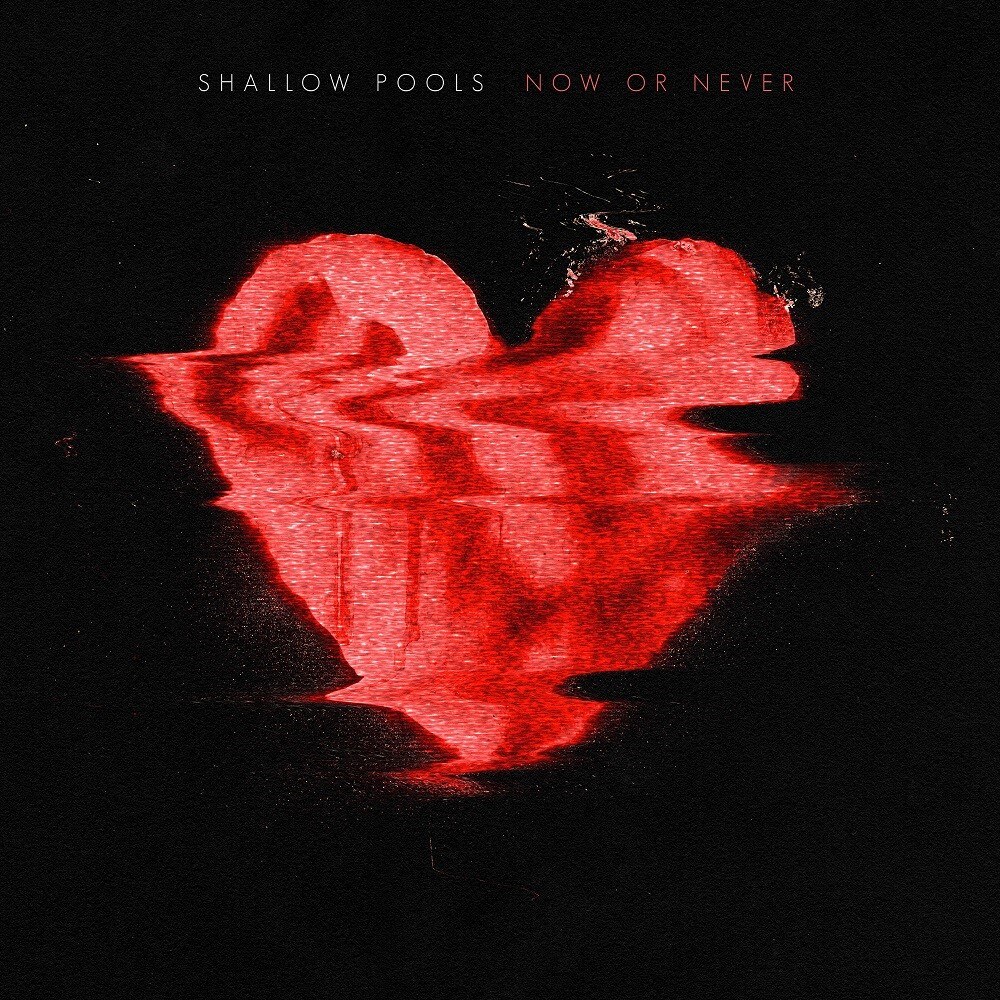 Boston Indie-Pop Quartet Shallow pools  Release Brand New Single “Now Or Never”