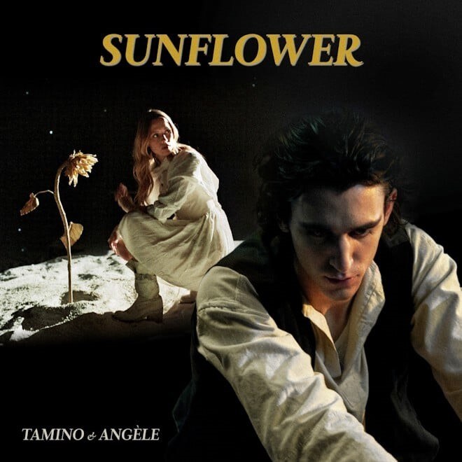 Tamino is very pleased to share the fantastical video for new single, “Sunflower”, 