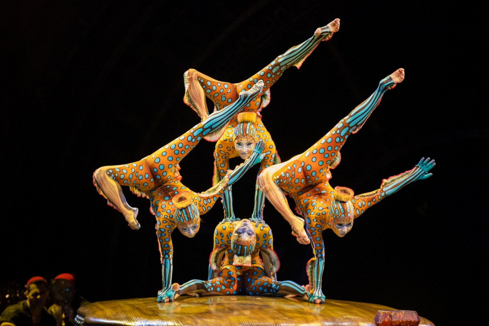 Cirque du Soleil komt naar België met Kurios, Cabinet of Curiosities
