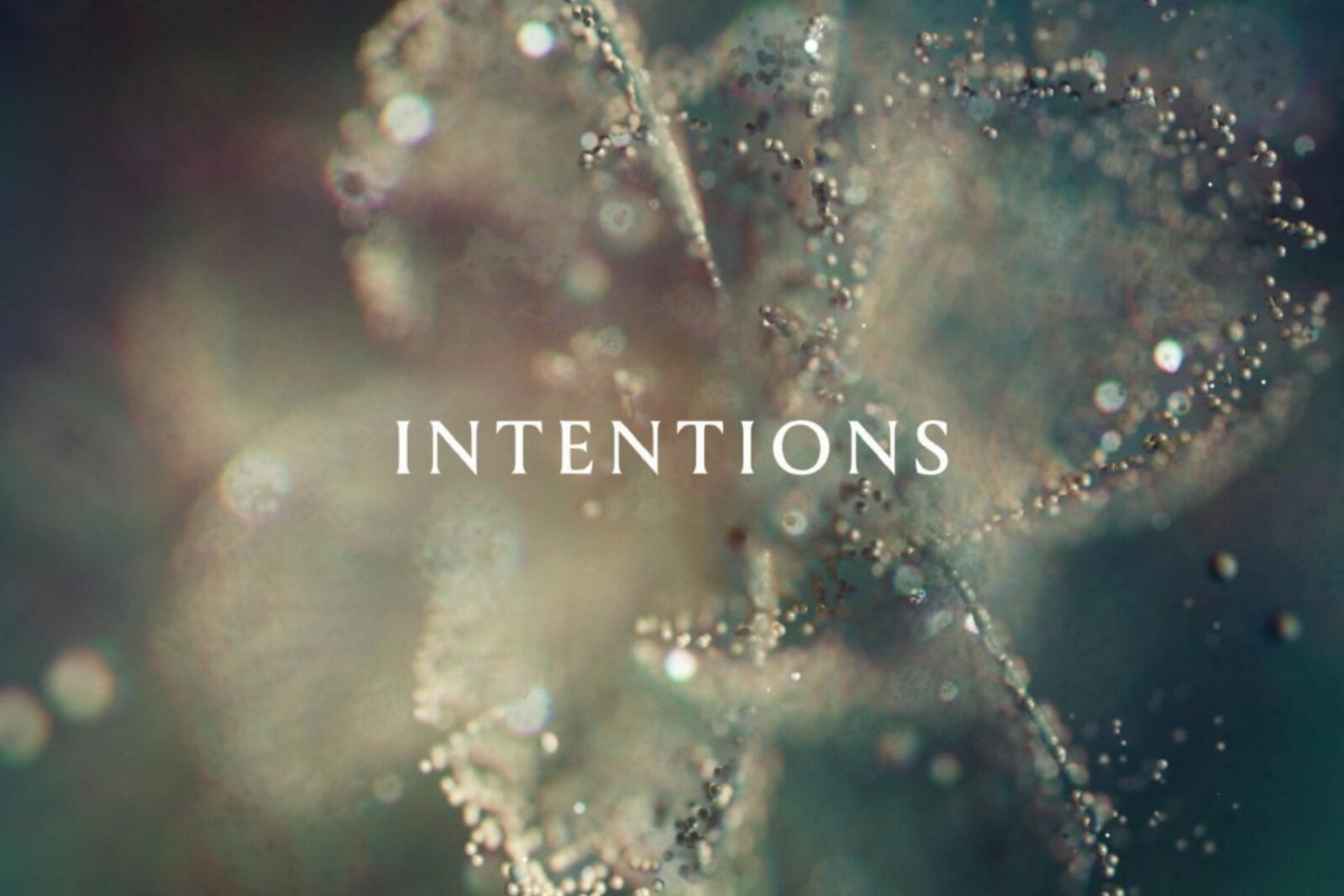 Producer and DJ Anna Makes Mercury KX Debut: Intentions