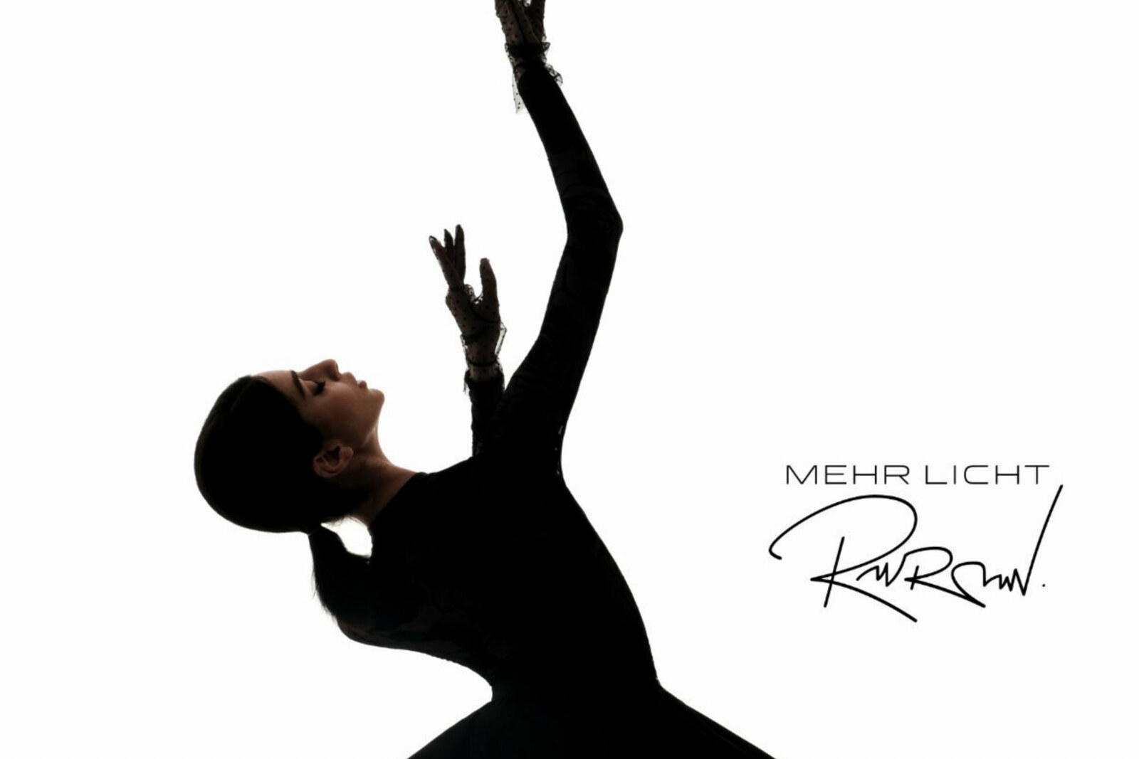 Rainer Landfermann (Ger) - Mehr Licht @ Avant-garde Metal