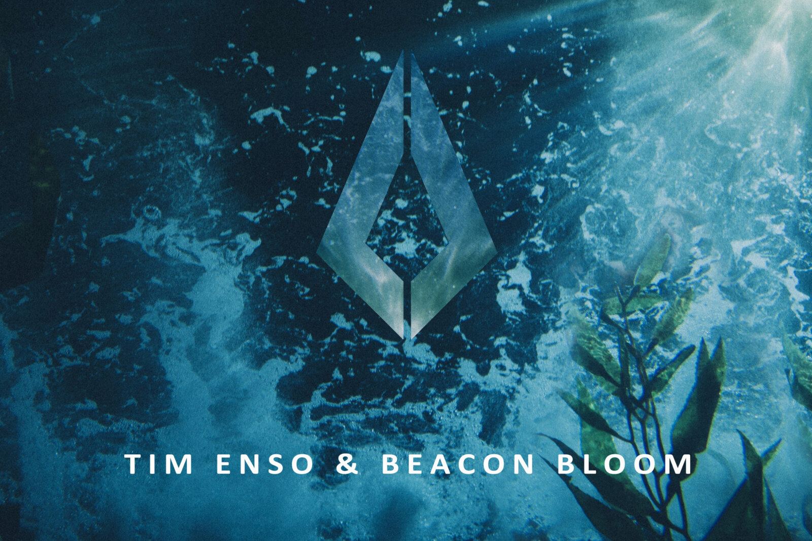 Tim Enso & Beacon Bloom Unite for 'Fallen Flower' EP