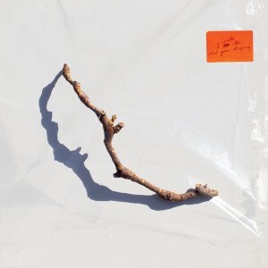 PJ Harvey | new album 'I Inside the Old Year Dying' | out on 07/07