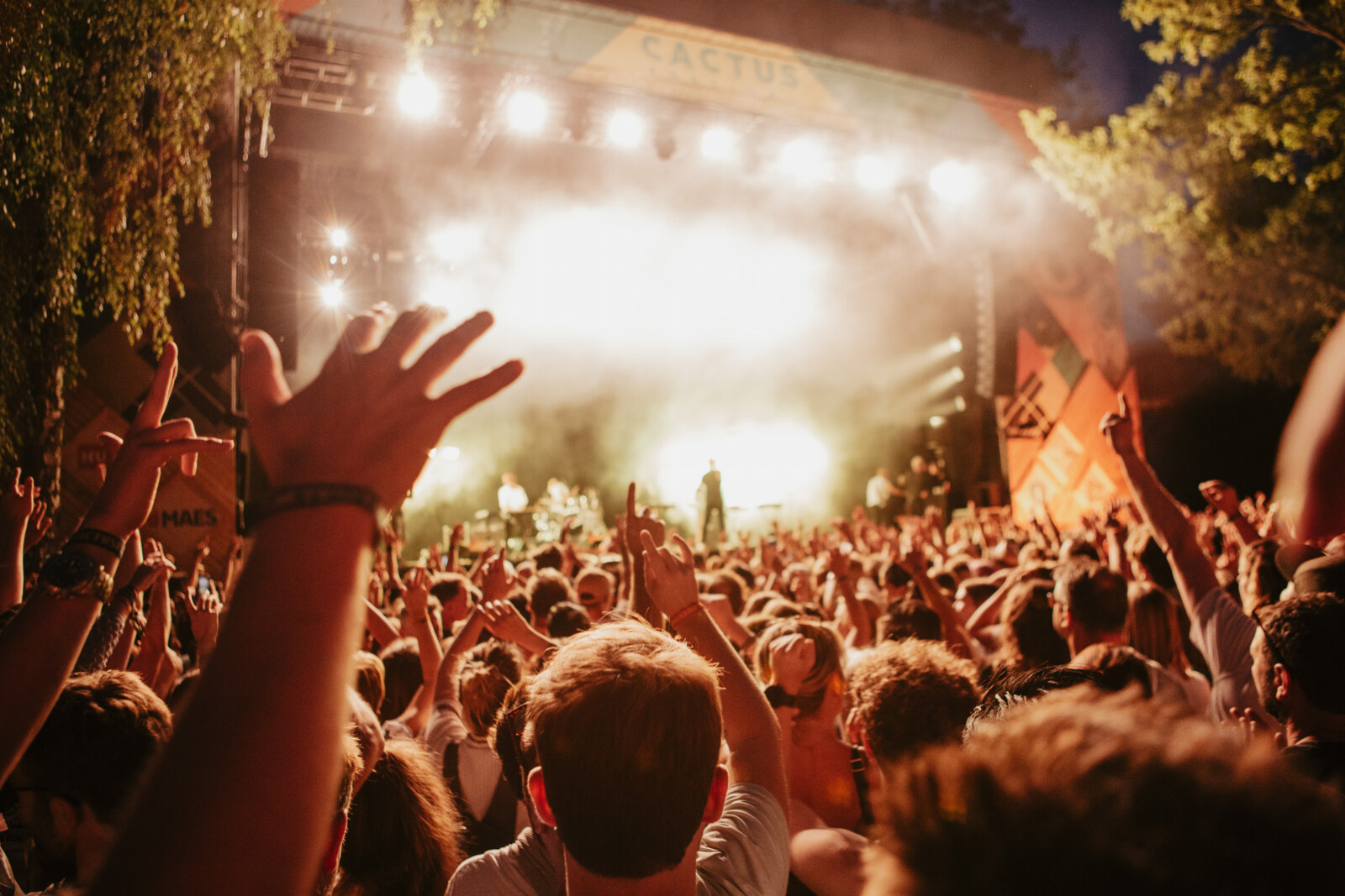 Veertigste Cactusfestival zit erop, volgende editie op 12, 13 en 14 juli 2024