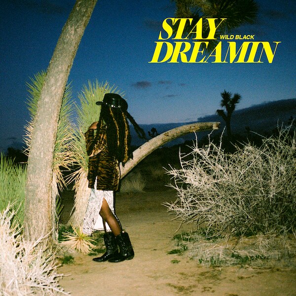 Wild Black Reveals Label Debut with Next Door Records | Watch "Stay Dreamin'"