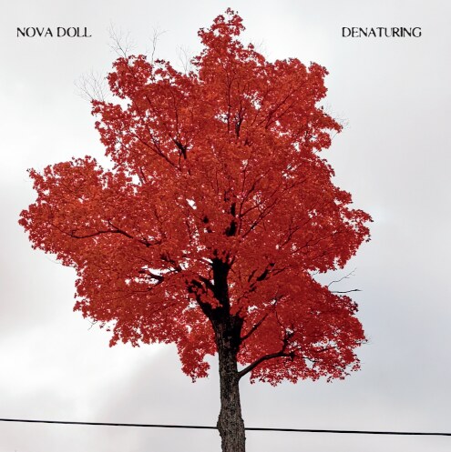 NOVA DOLL Announce New Album And Release Video For "California Sunshine"