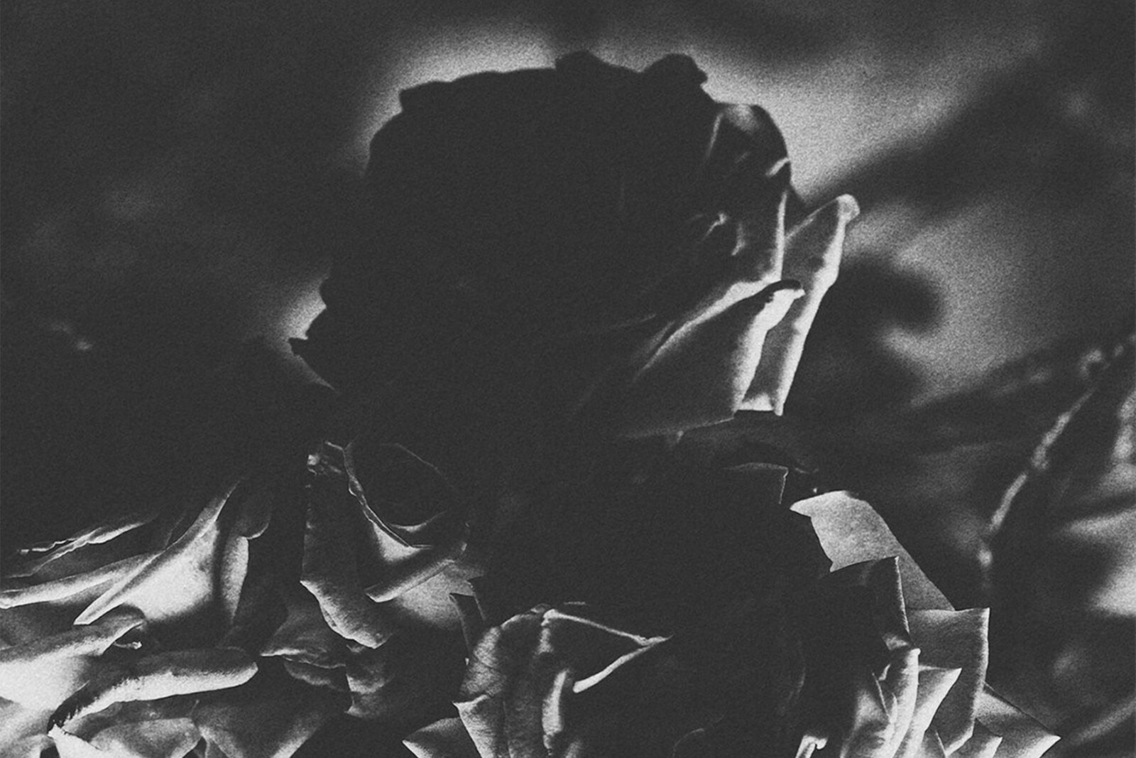Hexis & Telos announce 5” split out August 18th via Init Records