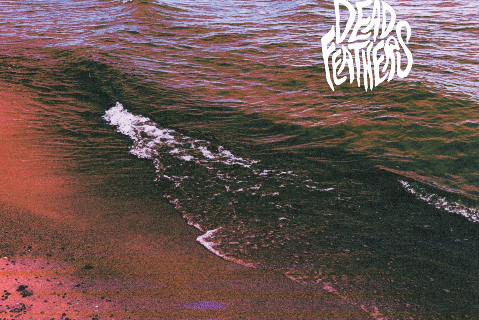Dead Feathers releases "Full Circle" 
