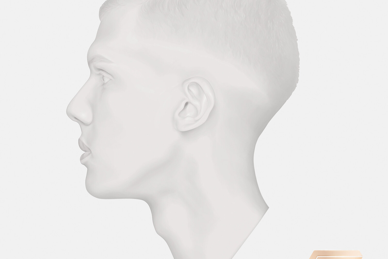 Stromae racine carrée celebrates its 10 years!