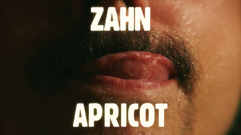 Zahn  reveal immersive new single + video, "APRICOT" from the upcoming double album "ADRIA", out November 24!