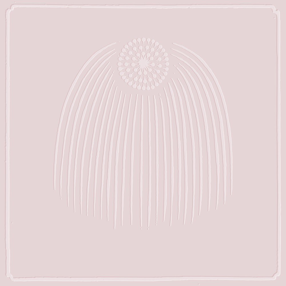 All Get Out Announce Brand New Self-Titled Album Available On November 3 & New Single “Come Back Around”