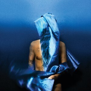 Devendra Banhart releases Flying Wig