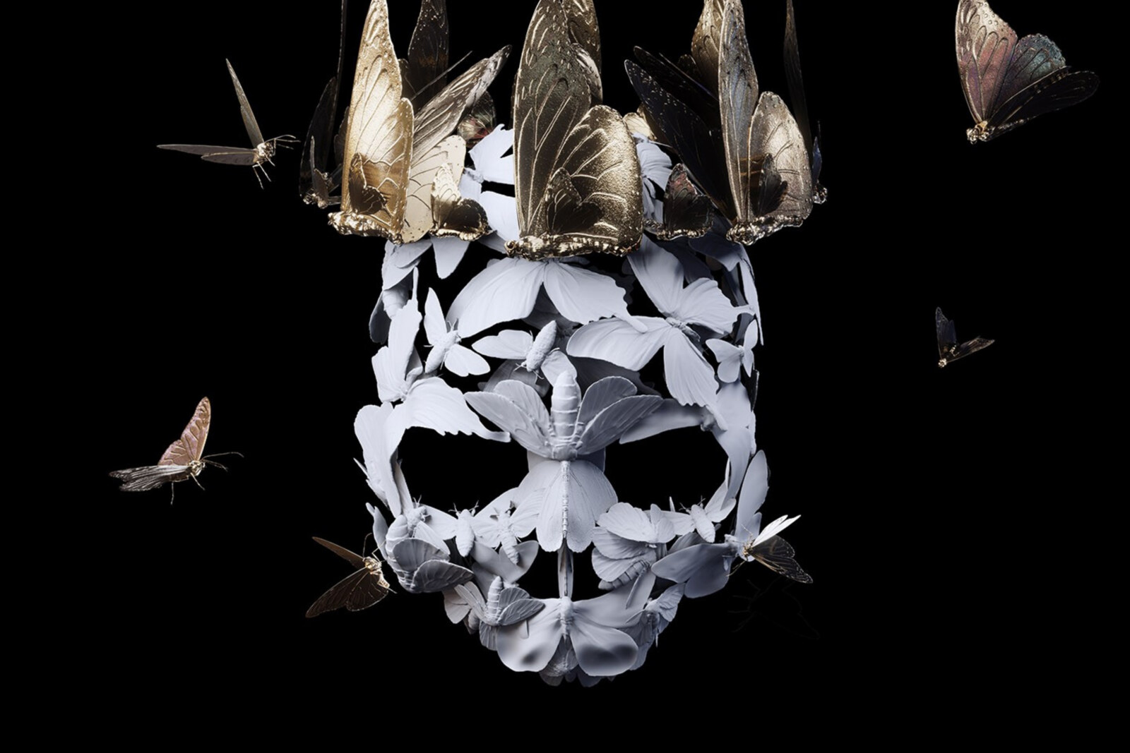 Princess Goes Share New Single: "Jetpack" 