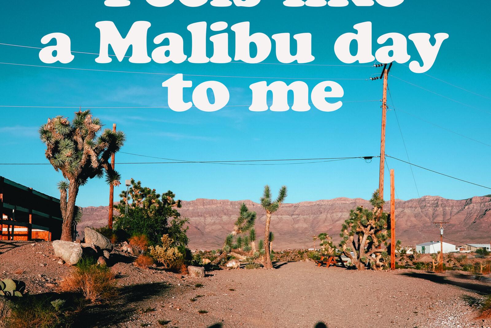 Nazomersingle ‘Feels Like A Malibu Day To Me’ van Yellofox in aanloop naar albumrelease