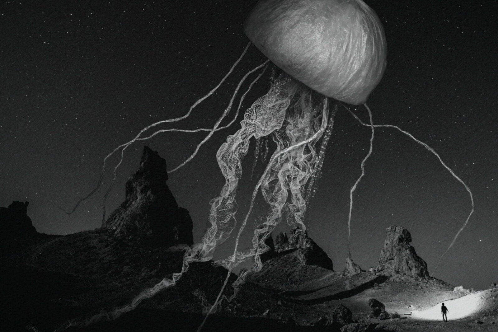 Treebeard  To Release Debut "Nostalgia" Internationally Through Bird’s Robe