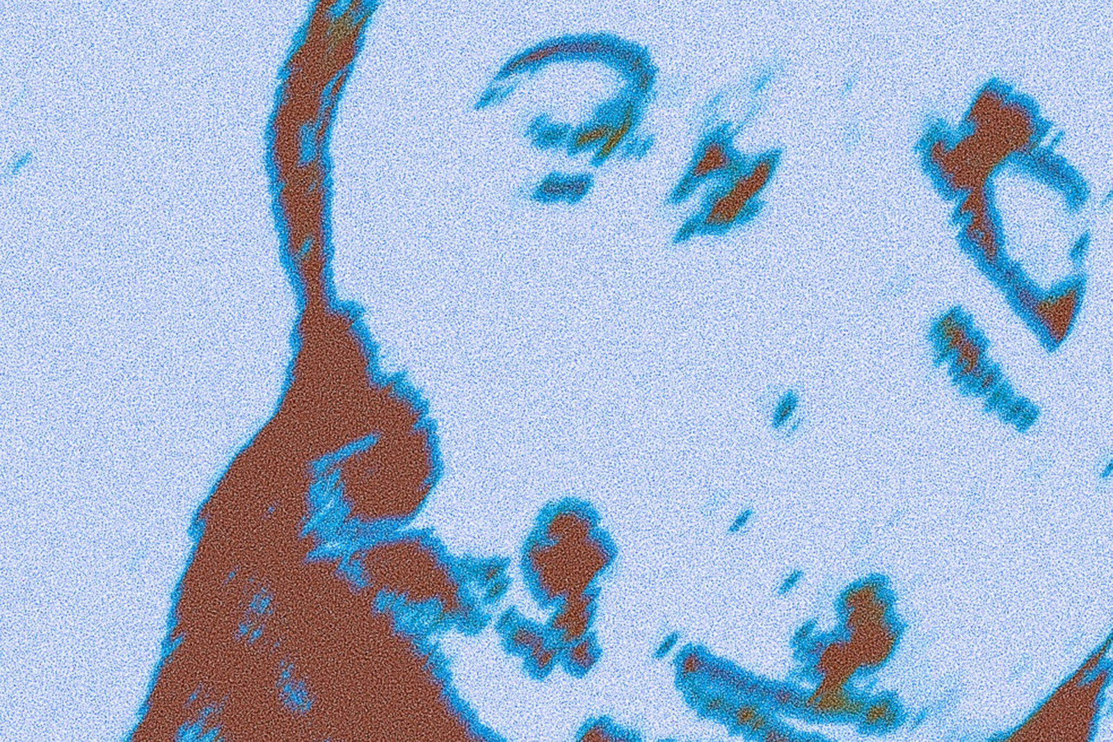 Slap Rash Share New Track "The Note Is Useless", Touring with Mandy, Indiana