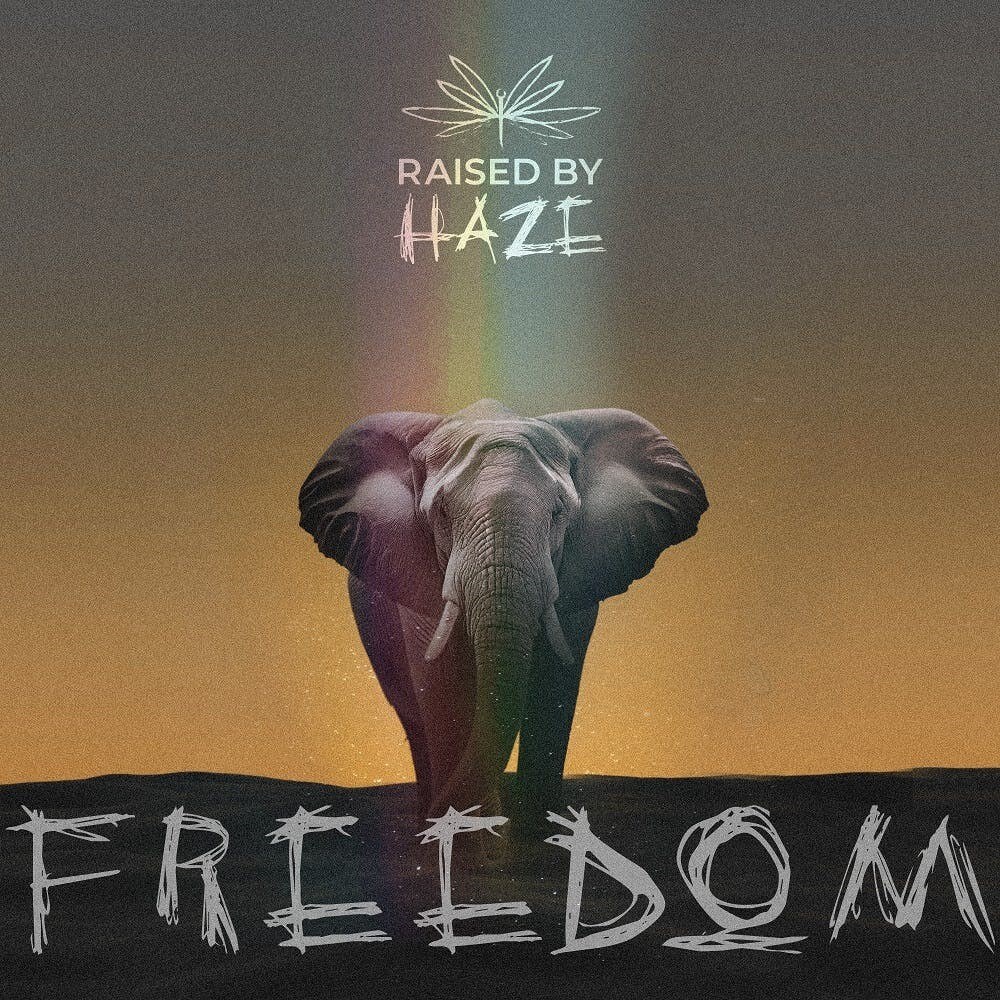 New Video "Freedom" From RAISED BY HAZE Off Debut Album "Touch The Sky" Out Nov 2023